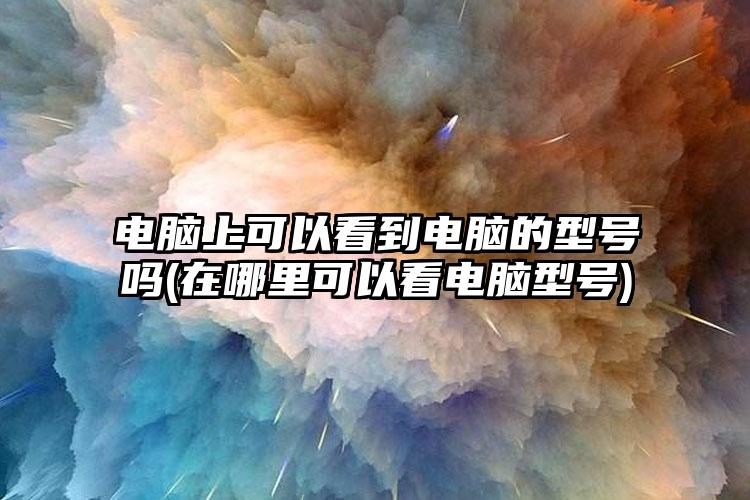 电脑上可以看到电脑的型号吗(在哪里可以看电脑型号)