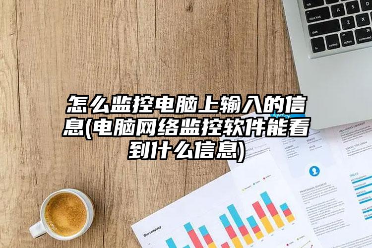 怎么监控电脑上输入的信息(电脑网络监控软件能看到什么信息)