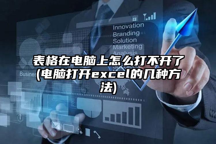 表格在电脑上怎么打不开了(电脑打开excel的几种方法)