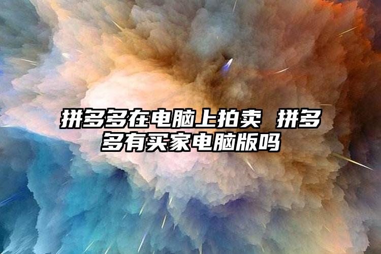 拼多多在电脑上拍卖 拼多多有买家电脑版吗