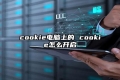 cookie电脑上的 cookie怎么开启