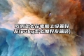 吃鸡怎么在电脑上设置好友(pubg怎么加好友端游)